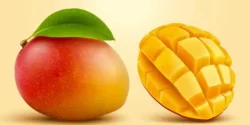 عوارض انبه خیراندیش در طب سنتی برای مردان و زنان