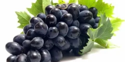 عوارض انگور سیاه خیراندیش در طب سنتی برای مردان و زنان
