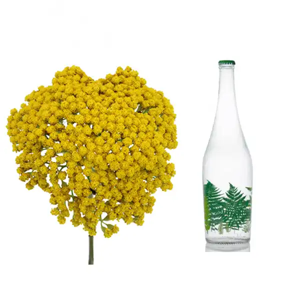 عوارض عرق بومادران خیراندیش در طب سنتی برای مردان و زنان