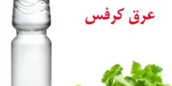 عوارض عرق کرفس خیراندیش در طب سنتی برای مردان و زنان
