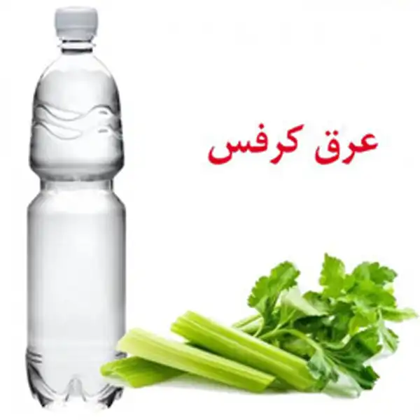 عوارض عرق کرفس خیراندیش در طب سنتی برای مردان و زنان
