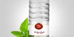 عوارض عرق پونه خیراندیش در طب سنتی برای مردان و زنان