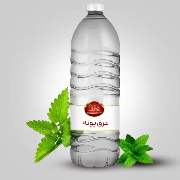 عوارض عرق پونه خیراندیش در طب سنتی برای مردان و زنان
