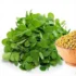 عوارض عرق شنبلیله خیراندیش در طب سنتی برای مردان و زنان