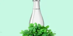 عوارض عرق یونجه خیراندیش در طب سنتی برای مردان و زنان