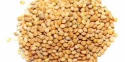 عوارض ارزن خیراندیش در طب سنتی برای مردان و زنان