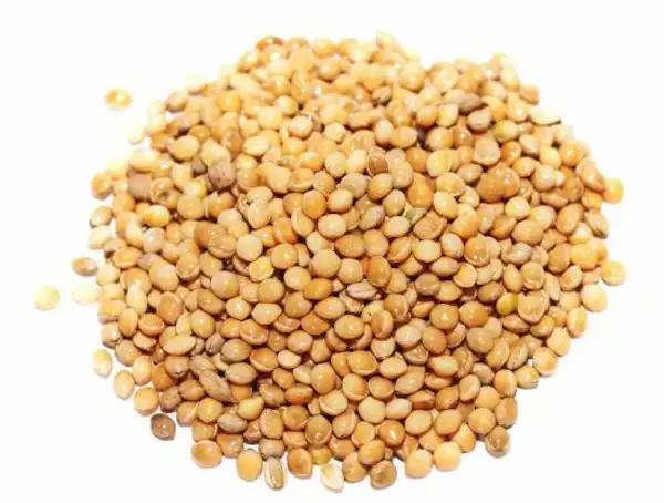عوارض ارزن خیراندیش در طب سنتی برای مردان و زنان