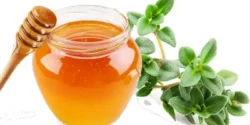 عوارض عسل آویشن خیراندیش در طب سنتی برای مردان و زنان