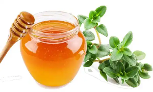 عوارض عسل آویشن خیراندیش در طب سنتی برای مردان و زنان