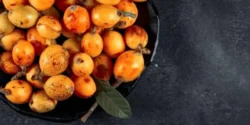 عوارض ازگیل خیراندیش در طب سنتی برای مردان و زنان