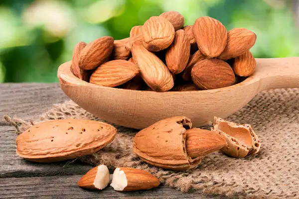 عوارض بادام تلخ خیراندیش در طب سنتی برای مردان و زنان