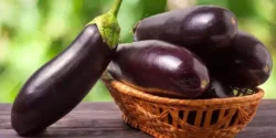 عوارض بادمجان خیراندیش در طب سنتی برای مردان و زنان
