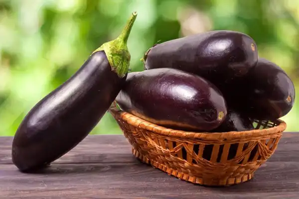 عوارض بادمجان خیراندیش در طب سنتی برای مردان و زنان