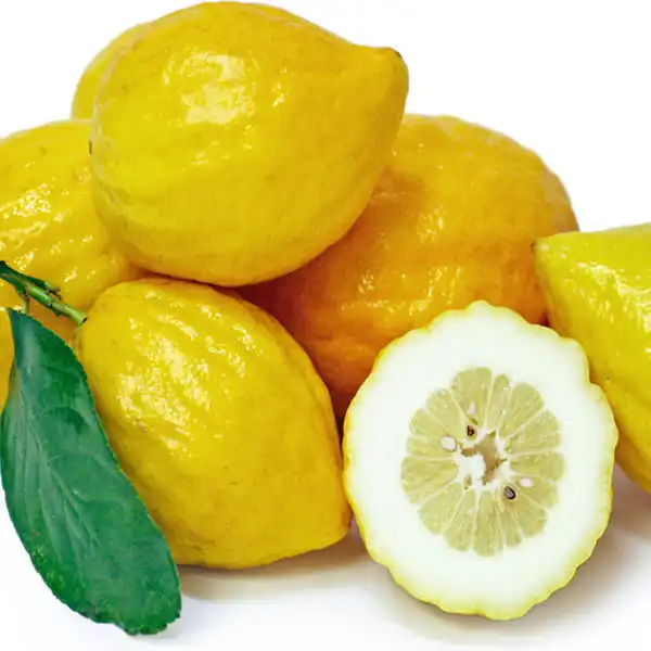 عوارض بالنگ خیراندیش در طب سنتی برای مردان و زنان