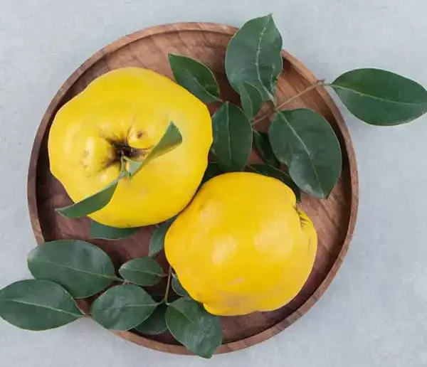 عوارض برگ به خیراندیش در طب سنتی برای مردان و زنان