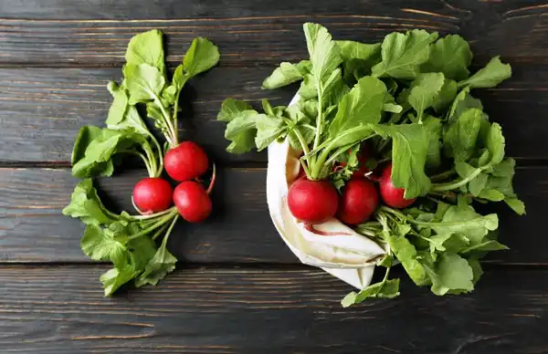 عوارض برگ تربچه خیراندیش در طب سنتی برای مردان و زنان