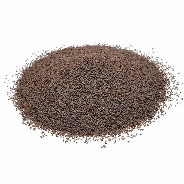عوارض بارهنگ خیراندیش در طب سنتی برای مردان و زنان