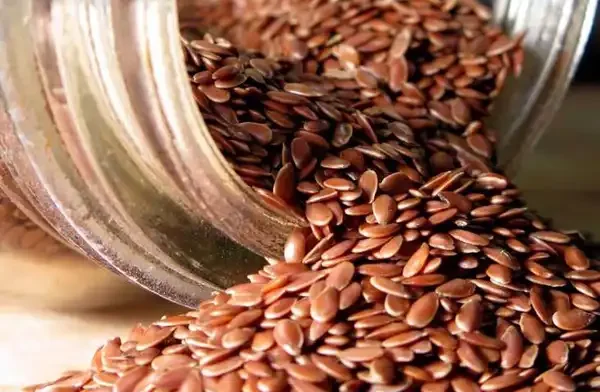 عوارض بذر کتان خیراندیش در طب سنتی برای مردان و زنان
