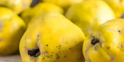 عوارض به خیراندیش در طب سنتی برای مردان و زنان