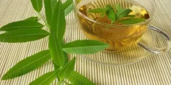 عوارض به لیمو خیراندیش در طب سنتی برای مردان و زنان