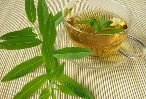 عوارض به لیمو خیراندیش در طب سنتی برای مردان و زنان