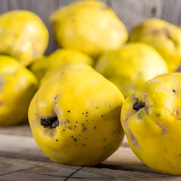 عوارض به خیراندیش در طب سنتی برای مردان و زنان