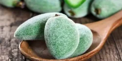 عوارض چغاله بادام خیراندیش در طب سنتی برای مردان و زنان