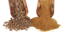 عوارض چهار زیره خیراندیش در طب سنتی برای مردان و زنان