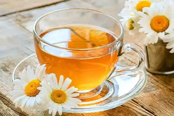 عوارض چای بابونه خیراندیش در طب سنتی برای مردان و زنان