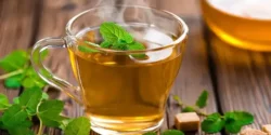 عوارض چای نعناع خیراندیش در طب سنتی برای مردان و زنان