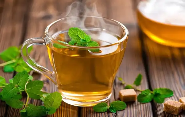 عوارض چای نعناع خیراندیش در طب سنتی برای مردان و زنان