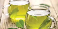 عوارض چای سبز خیراندیش در طب سنتی برای مردان و زنان