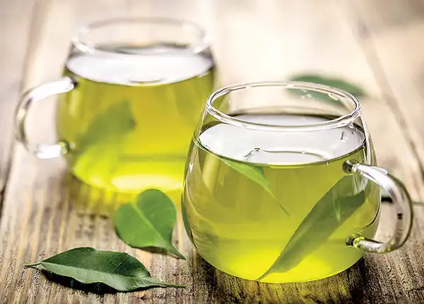 عوارض چای سبز خیراندیش در طب سنتی برای مردان و زنان
