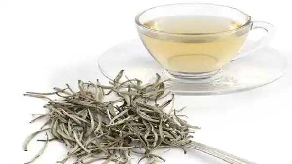عوارض چای سفید خیراندیش در طب سنتی برای مردان و زنان