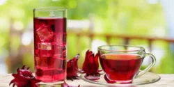 عوارض چای ترش خیراندیش در طب سنتی برای مردان و زنان