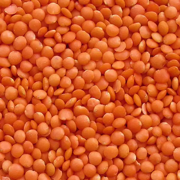 عوارض دال عدس خیراندیش در طب سنتی برای مردان و زنان