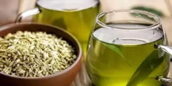 عوارض دمنوش رازیانه خیراندیش در طب سنتی برای مردان و زنان