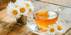 عوارض دمنوش بابونه خیراندیش در طب سنتی برای مردان و زنان