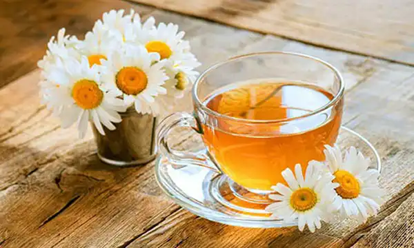 عوارض دمنوش بابونه خیراندیش در طب سنتی برای مردان و زنان