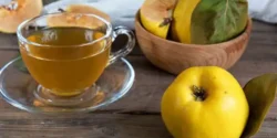 عوارض دمنوش به خیراندیش در طب سنتی برای مردان و زنان