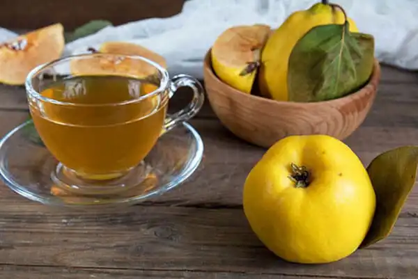 عوارض دمنوش به خیراندیش در طب سنتی برای مردان و زنان