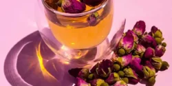 عوارض دمنوش گل محمدی خیراندیش در طب سنتی برای مردان و زنان