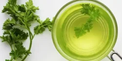 عوارض دمنوش جعفری خیراندیش در طب سنتی برای مردان و زنان