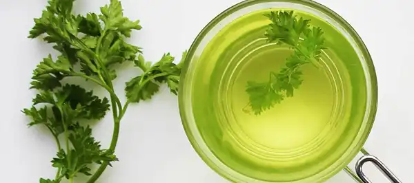 عوارض دمنوش جعفری خیراندیش در طب سنتی برای مردان و زنان