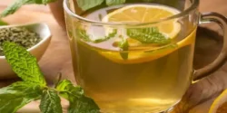 عوارض دمنوش نعناع خیراندیش در طب سنتی برای مردان و زنان