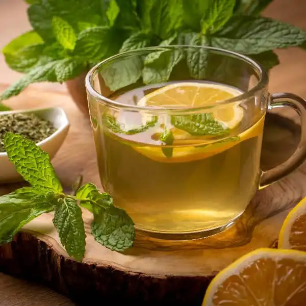 عوارض دمنوش نعناع خیراندیش در طب سنتی برای مردان و زنان