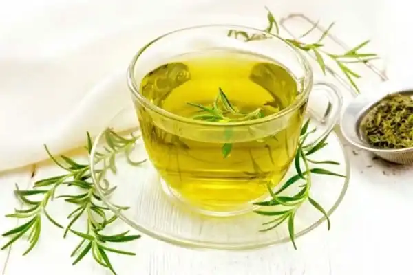 عوارض دمنوش رزماری خیراندیش در طب سنتی برای مردان و زنان