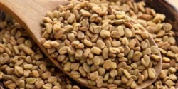 عوارض دانه شنبلیله خیراندیش در طب سنتی برای مردان و زنان