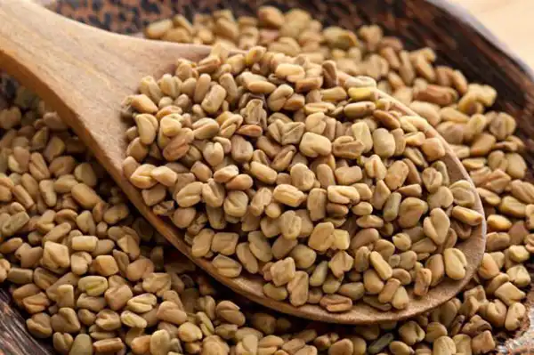 عوارض دانه شنبلیله خیراندیش در طب سنتی برای مردان و زنان