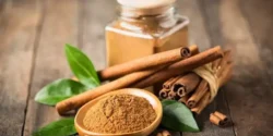 عوارض دارچین خیراندیش در طب سنتی برای مردان و زنان